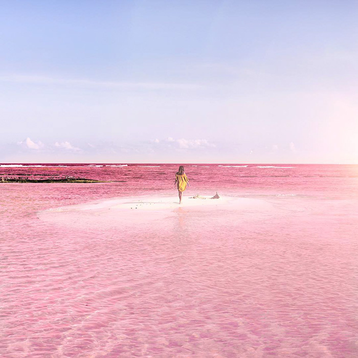 pink-lagoon-las-coloradas-mexico-15