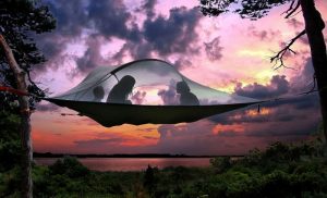 15 Of The Best Traveler Gift Ideas Besides Actual Plane Tickets Floating Tree Tent