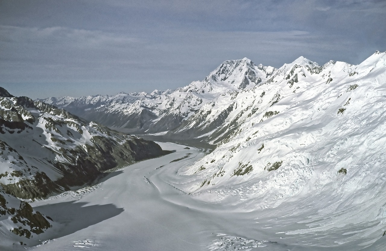 new zealand glacier franz josef