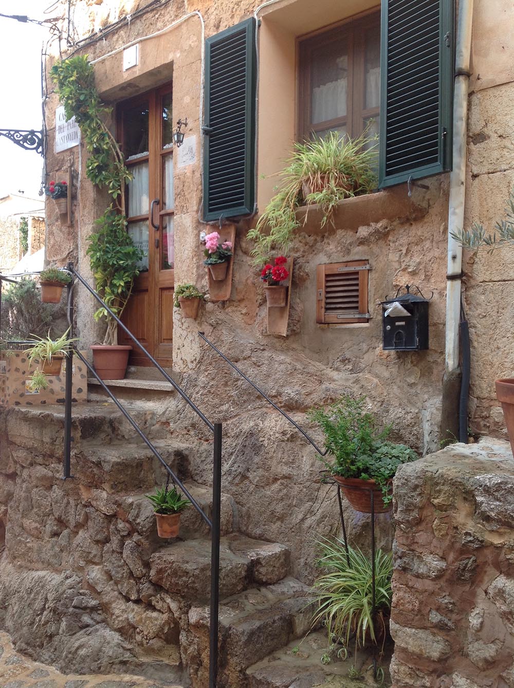 Typical hanging flowers from homes in Valldemossa