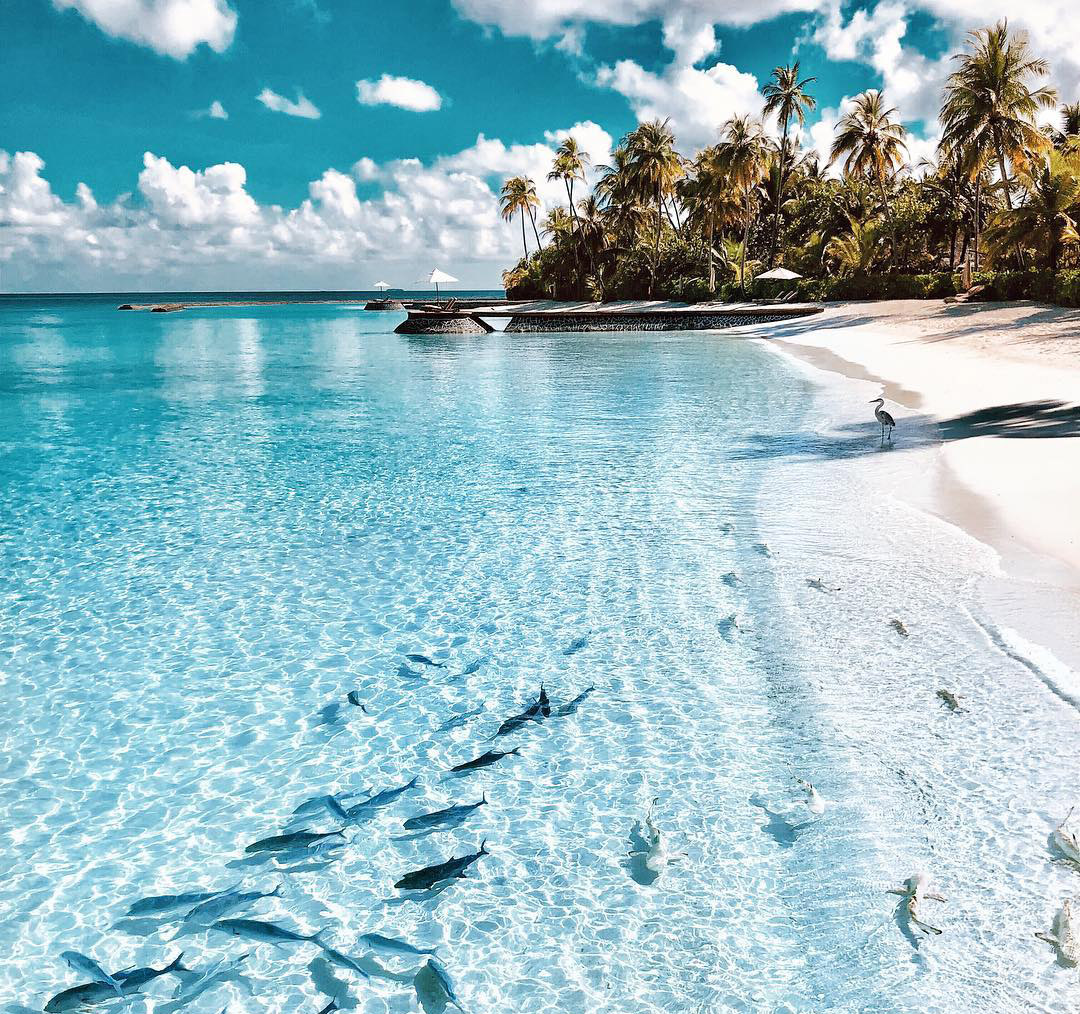 maldives clear water