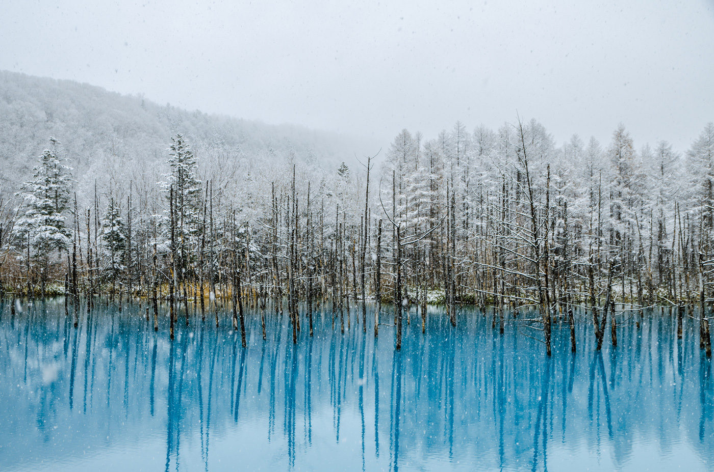 blue pond japan