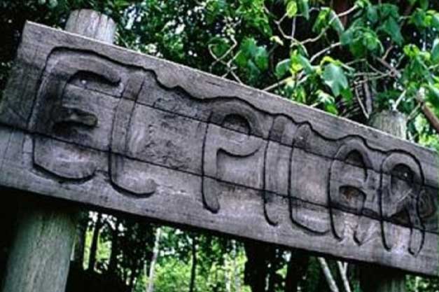 El Pilar Maya Ruins belize