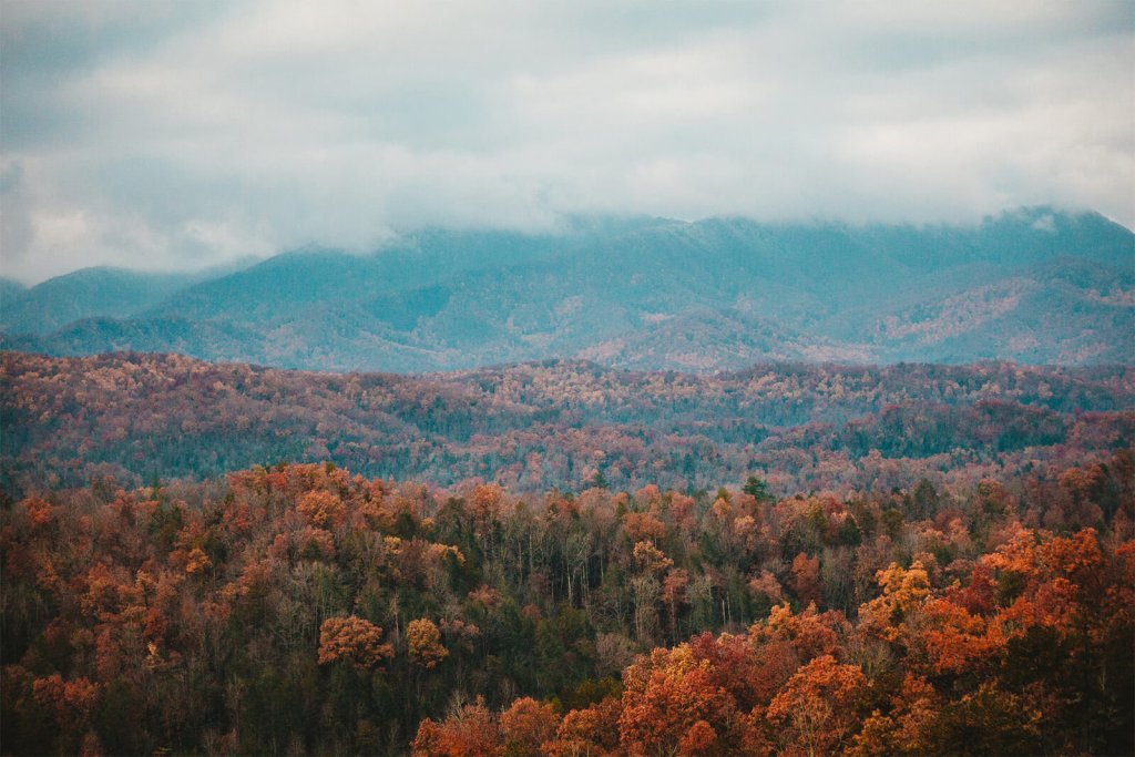 best spots in us autumn colors great smoky mountains