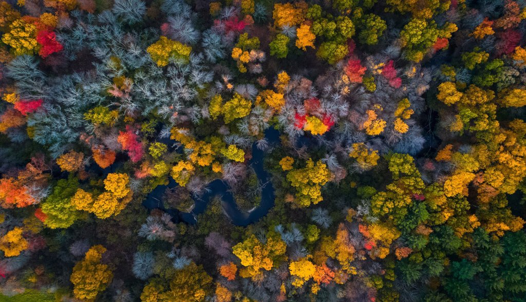 best spots in us autumn colors massachussetts