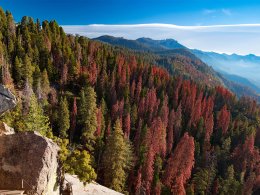 best spots in us autumn colors sequoia park