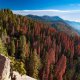 best spots in us autumn colors sequoia park