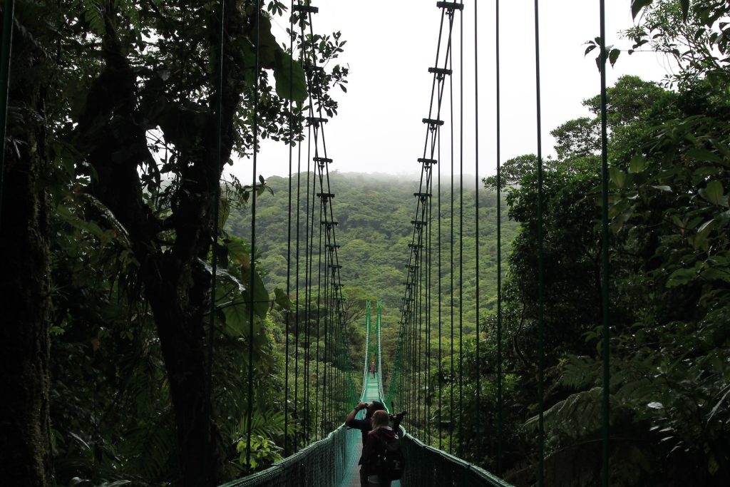 greenest places on earth Monteverde cloud forest