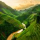 greenest places on earth sapa vietnam