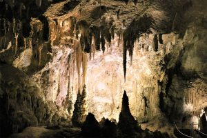 amazing caves carlsbad caverns