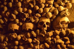 guide to the paris catacombs