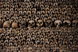 guide to the paris catacombs skulls
