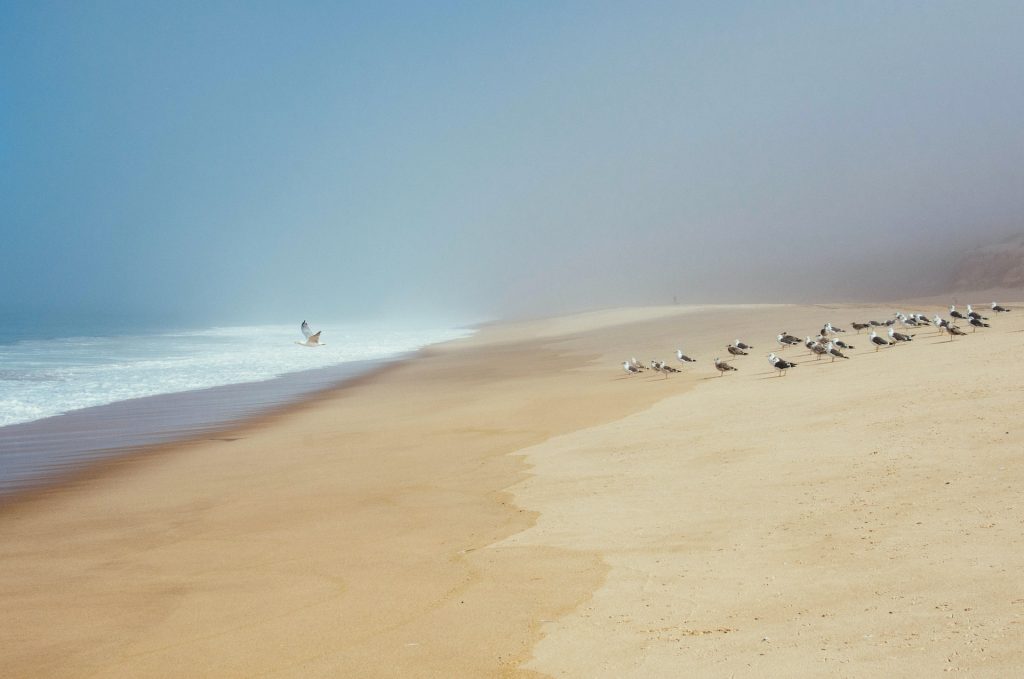 best beaches portugal praia do meco