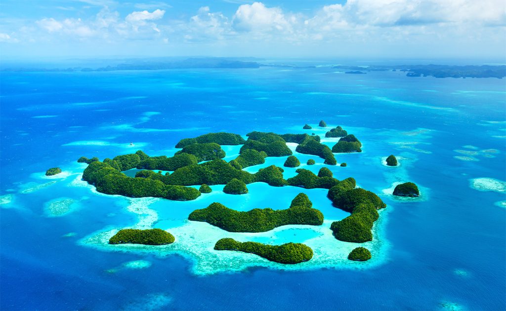 most beautiful coral reefs palau micronesia