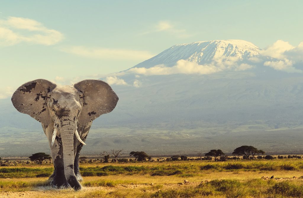 most stunning volcanoes world kilimanjaro