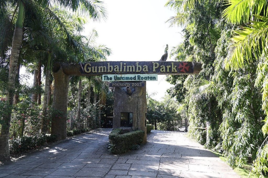 things to do roatan Gumbalimba Park