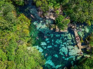 best cenotes in tulum cenote azul drone