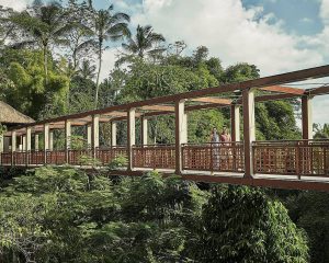 Bridge Four Seasons Resort Bali at Sayan