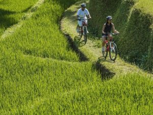 Cycling at Four Seasons Resort Bali at Sayan