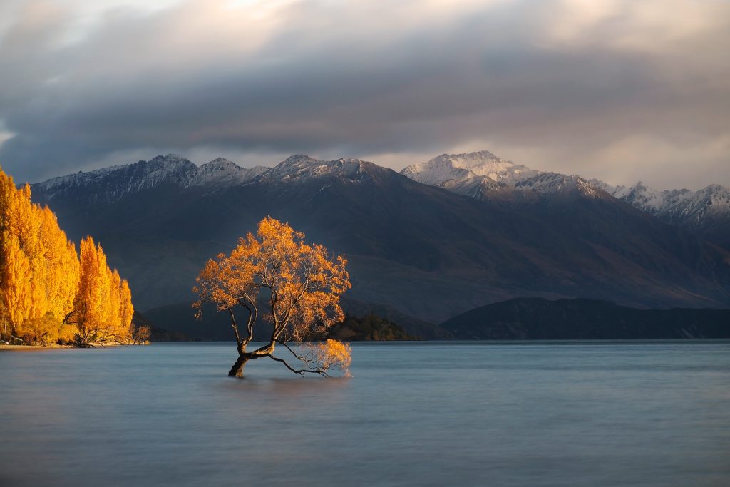 Lake Wanaka Wanaka New Zealand