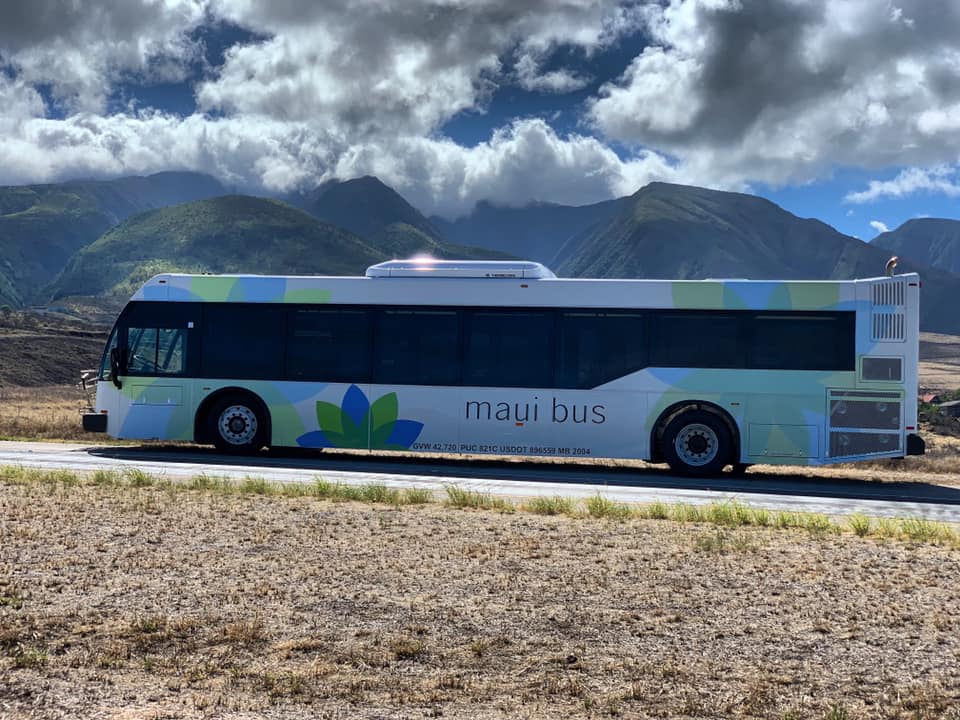 Maui Bus