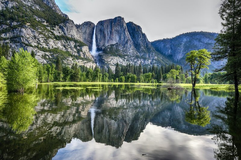 Yosemite National Park 1