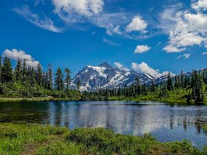 Mount Baker National Forest Washington USA