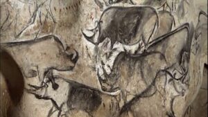 Rhino drawings from the Chauvet Cave