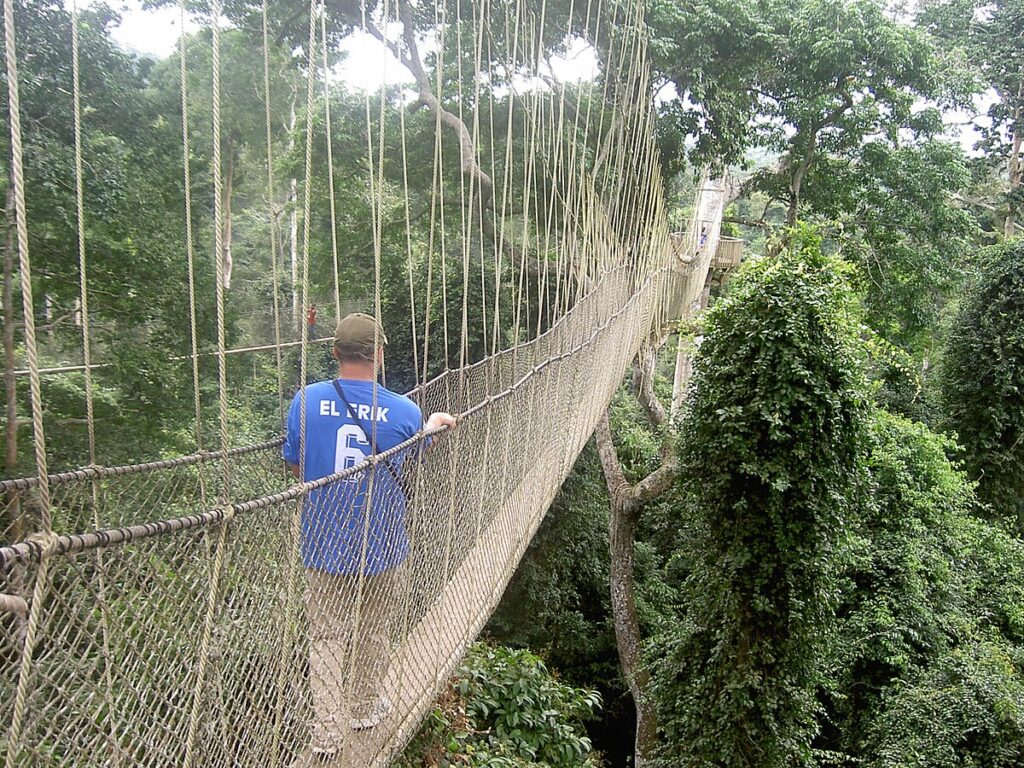 Me on the Canopy walk Ghana